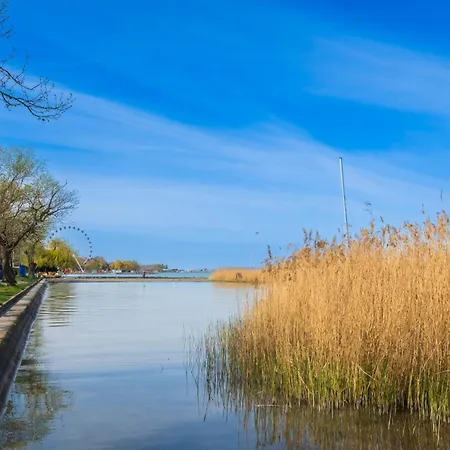 Petofi 21 公寓 希欧福克