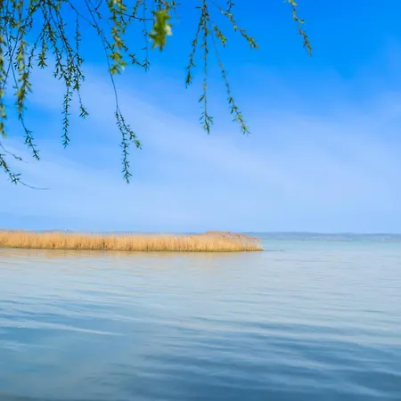 Lejlighed Petofi 21 *