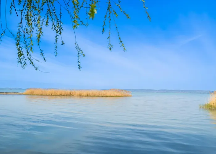 Apartment Petofi 21 *